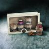 Le Coffret de foie gras dégustation