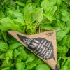 Le Basilic thaï 15g "Infarm"