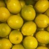 Le  Citron vetiver