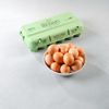 Les 18 oeufs BIO