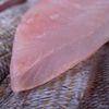 Le Filet de dorade grise