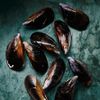 Les Moules de cordes d'Espagne 1kg
