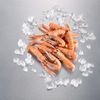 Les Langoustines cuites 20/30