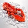 Le Homard Canadien