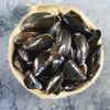 Les Moules de bouchot Label Rouge