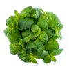 La Menthe 15g "Infarm"
