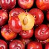 La Prune grenadine