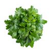 Le Persil plat 15g "Infarm"