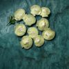Les 10 Pétoncles de Normandie farcis 120g