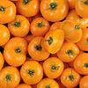 La Tomate grosse orange