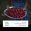 Le Mélange H3 BIO d'Ethiopie - café grain en paquet de 250g