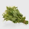 Brede Chouchou