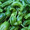 Le Poivron Vert