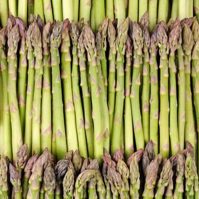 l asperge verte botte 500g mon marche fr