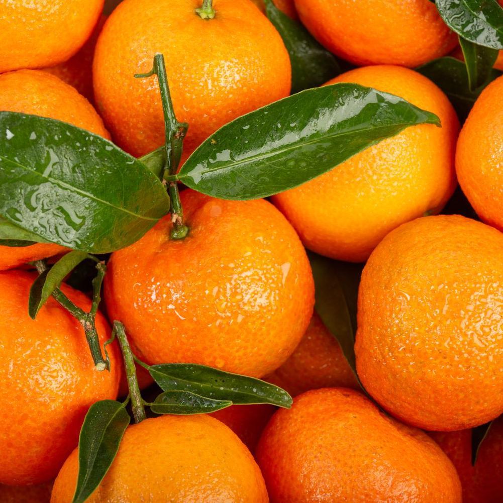 Les Mandarines feuilles mini colis | mon-marché.fr | Produits Frais | 2.3 kg