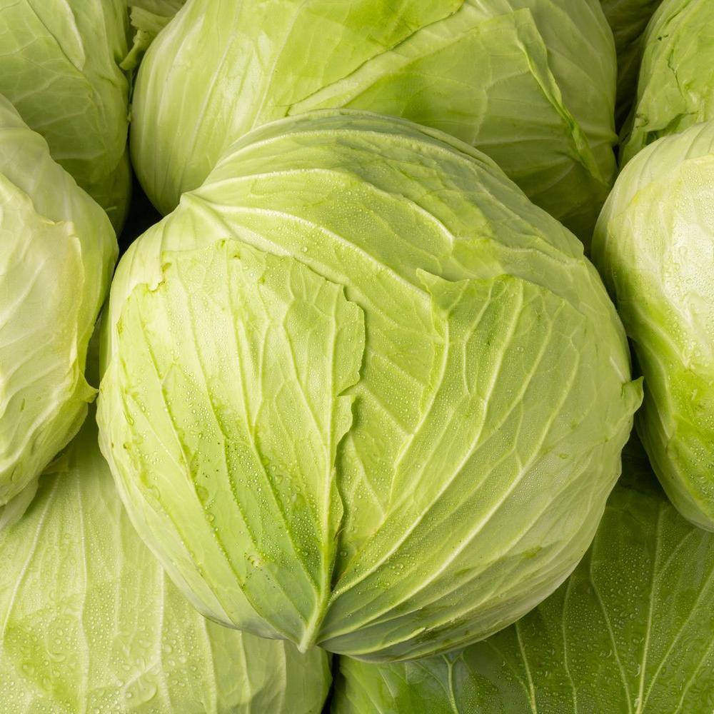 Le Chou atlas | mon-marché.fr | Produits Frais