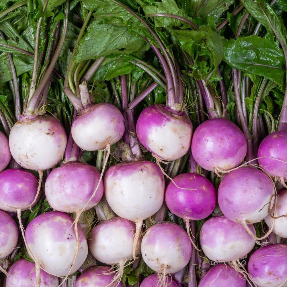 Le Navet en botte HVE | mon-marché.fr | Produits Frais