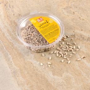 Fruits secs et graines