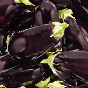 Aubergines et courgettes