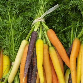 Légumes de saison français