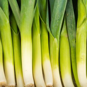 Poireaux, choux et navets