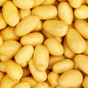 Pommes de terre