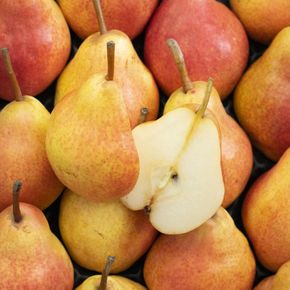 Les recettes pique-nique dum