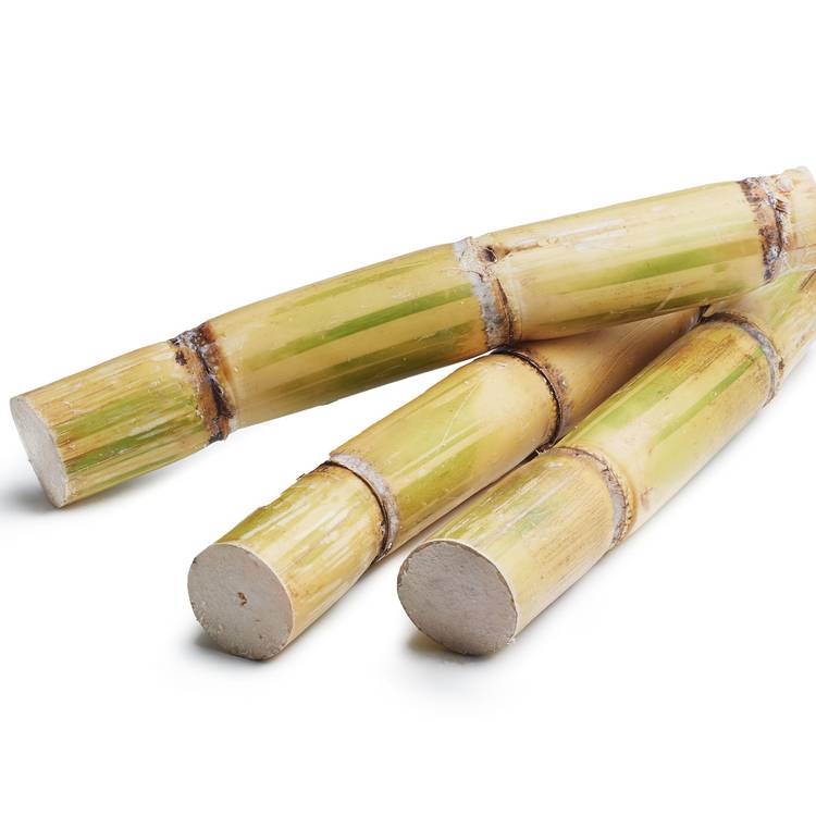 La Canne à sucre monmarché.fr