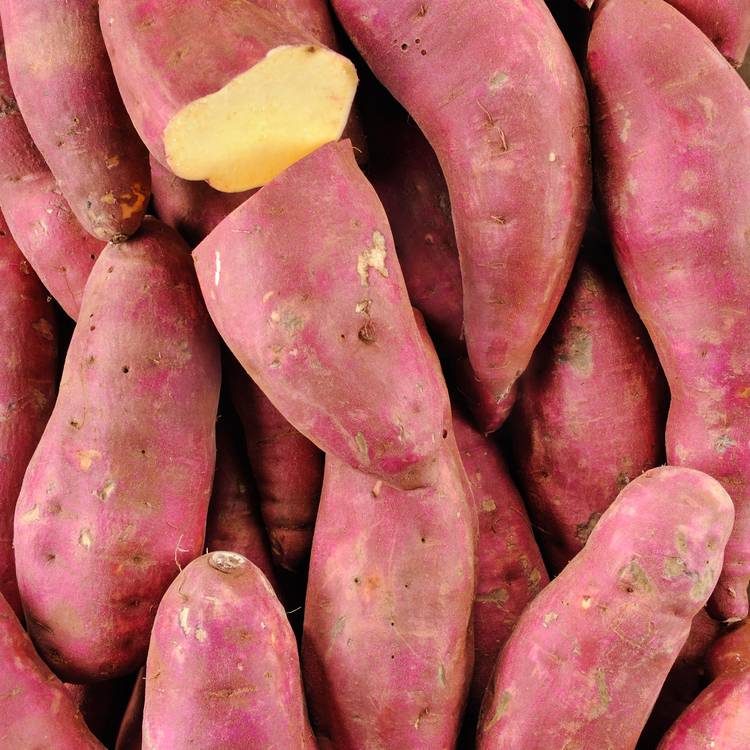 La Patate douce à chair blanche monmarché.fr