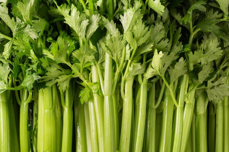 Le Céleri branche BIO - Mon Marché