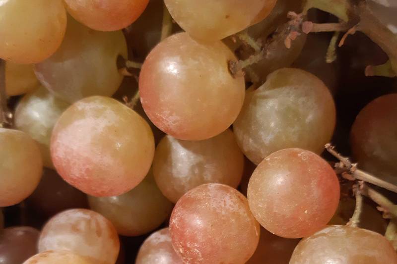 Le Raisin Moscatel - Mon Marché