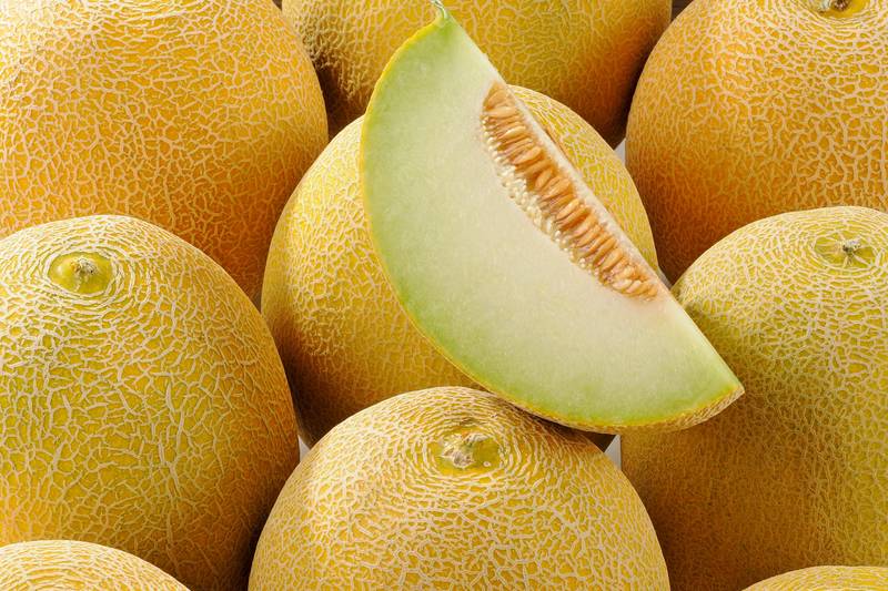 Le Melon galia monmarché.fr