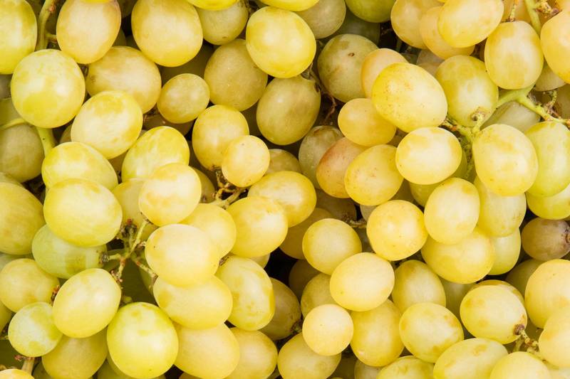 Le Raisin Italia en colis - Mon Marché