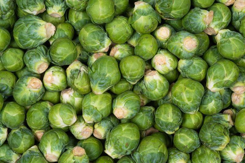 Le Chou de Bruxelles Mon Marché