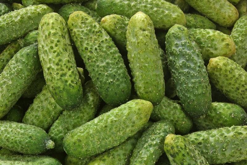 Le Cornichon frais monmarché.fr