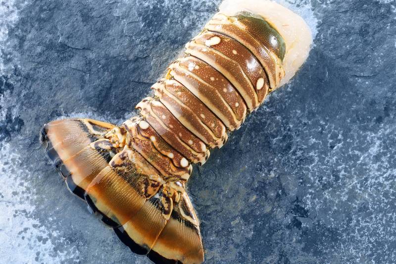 La Queue de langouste crue - Mon Marché
