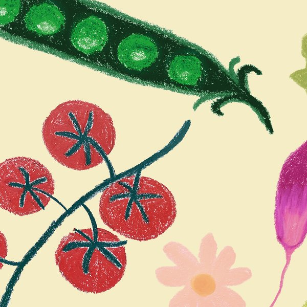 Fruits & Légumes