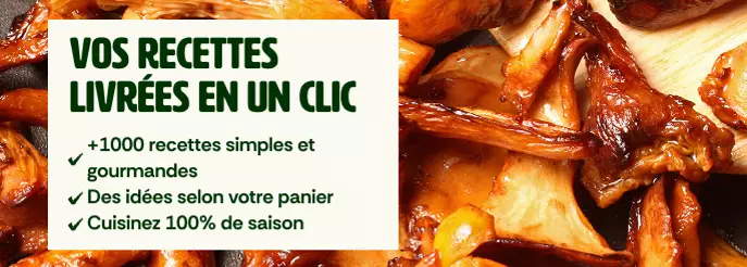 Champignons d'automnes Réassurance