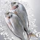 Poissonnerie