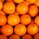 Fruits