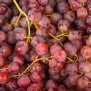 Fruits