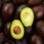 Avocat, carottes et radis