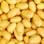 Pommes de terre