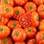 Tomates