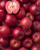 la-pomme-redlove-bio