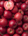 Pomme red love-IA-2.jpg
