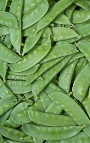 Les Pois mange-tout extra fins