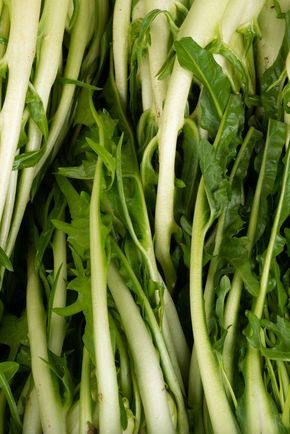 La Puntarelle