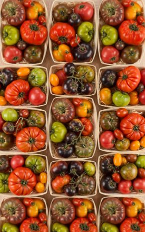 Les Tomates mixtes anciennes en colis