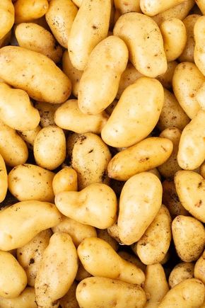 La Pomme de terre primeur